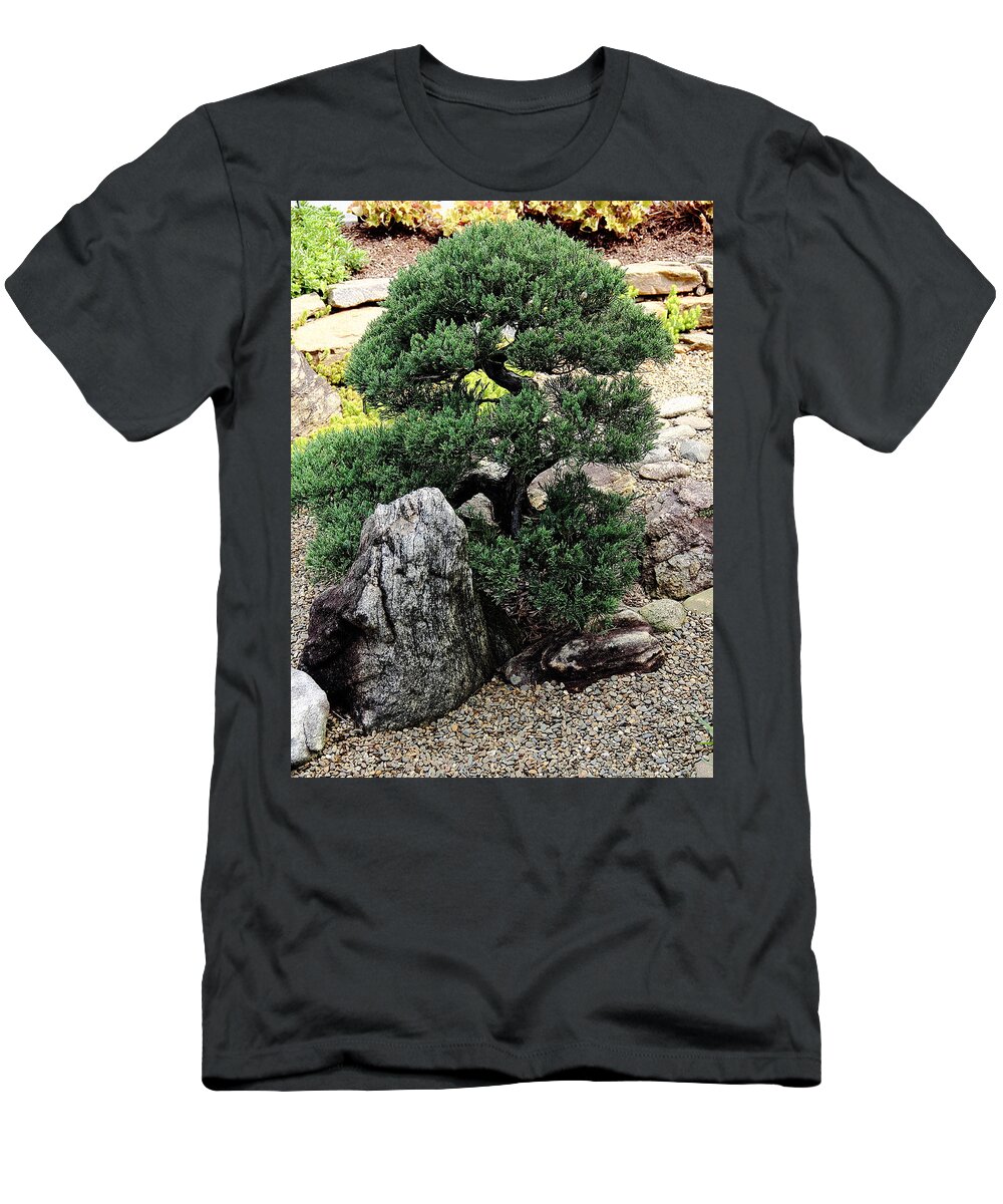 Tree T-Shirt featuring the photograph Juniper by Allen Nice-Webb