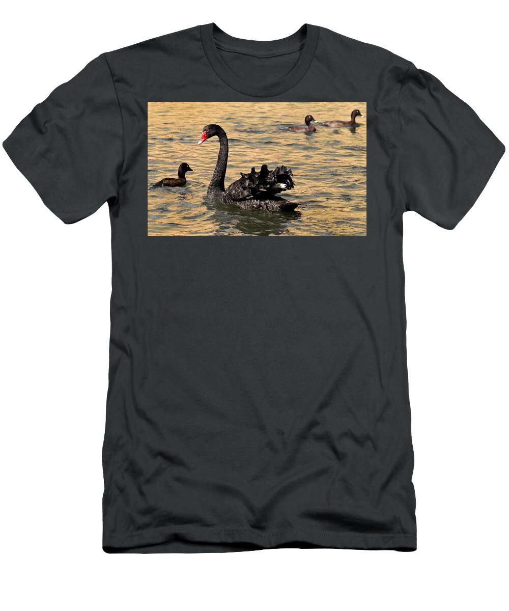 Black Swan T-Shirt featuring the photograph Just Chilling by Miroslava Jurcik