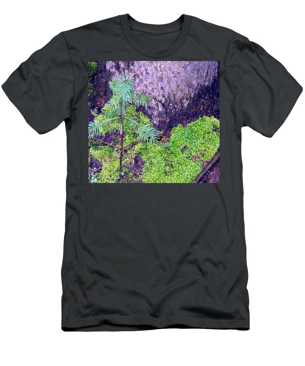 Trees T-Shirt featuring the photograph Just Starting Out by Will Borden
