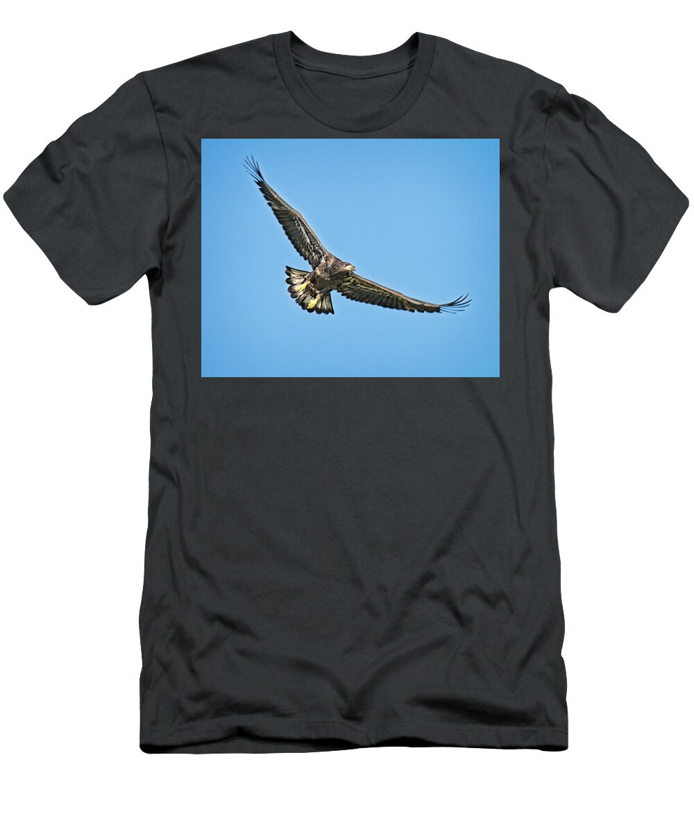 Eagle T-Shirt featuring the photograph Just Twelve Weeks Old by Ronald Lutz