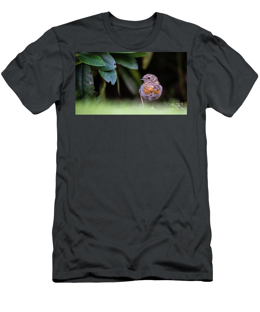 Robin T-Shirt featuring the photograph Juvenile Robin by Torbjorn Swenelius