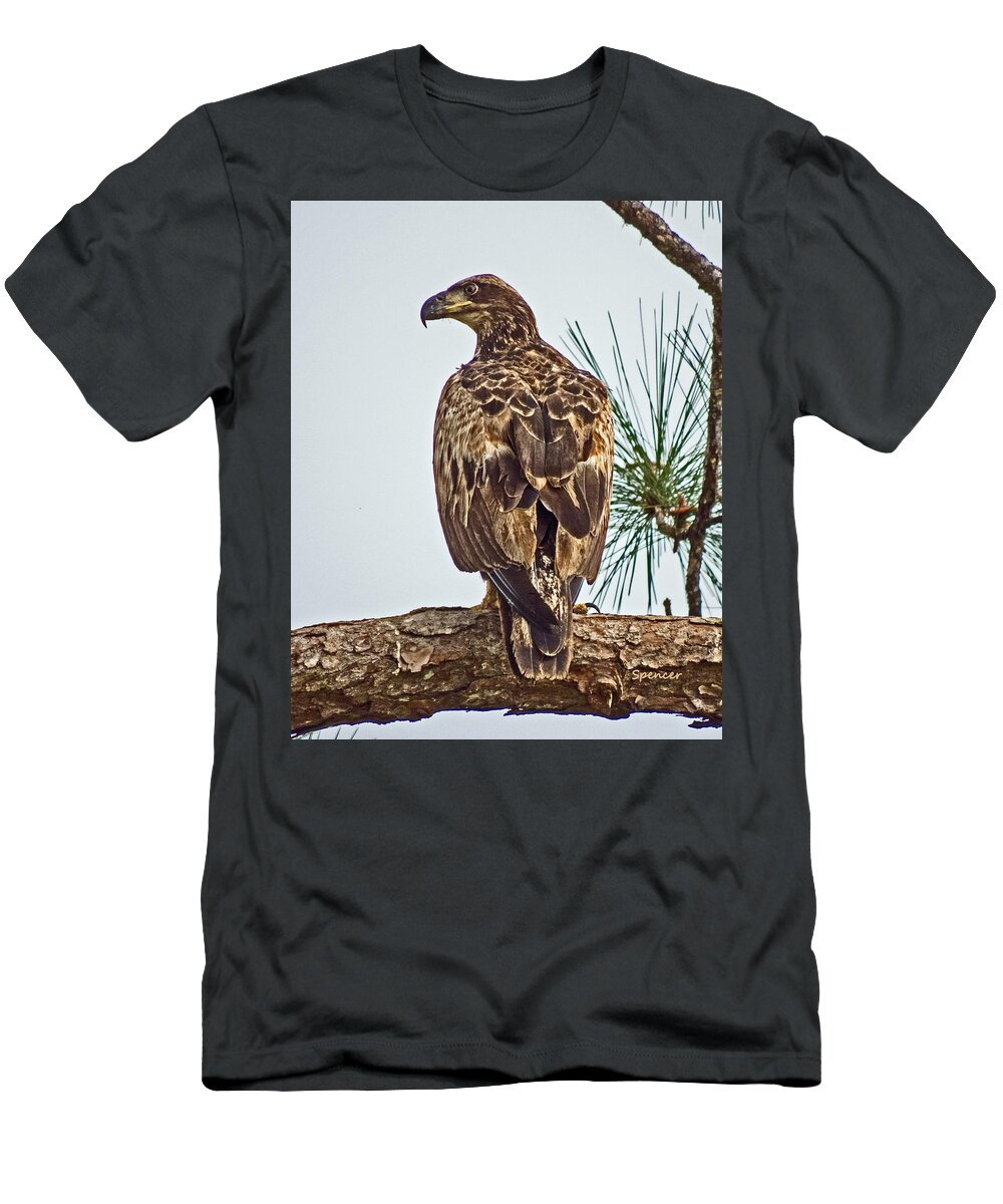 Bird T-Shirt featuring the photograph Juvenile by T Guy Spencer