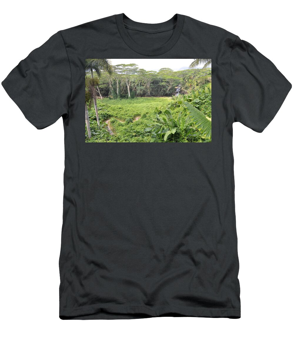Kauai T-Shirt featuring the photograph Kauai Hindu Monastery River Valley 2 by Amy Fose