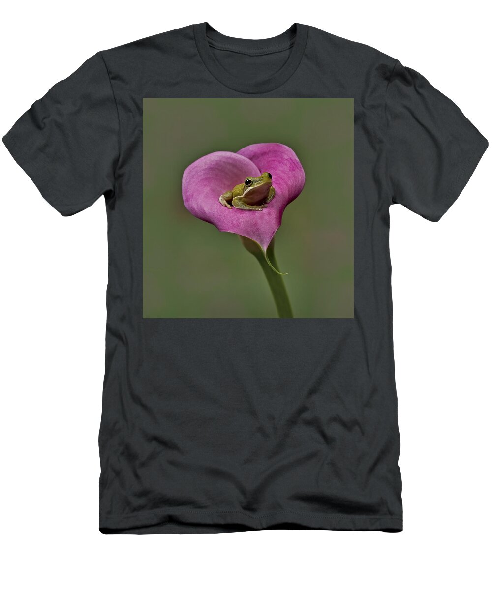 Calla T-Shirt featuring the photograph Kermit Hangs Out by Susan Candelario