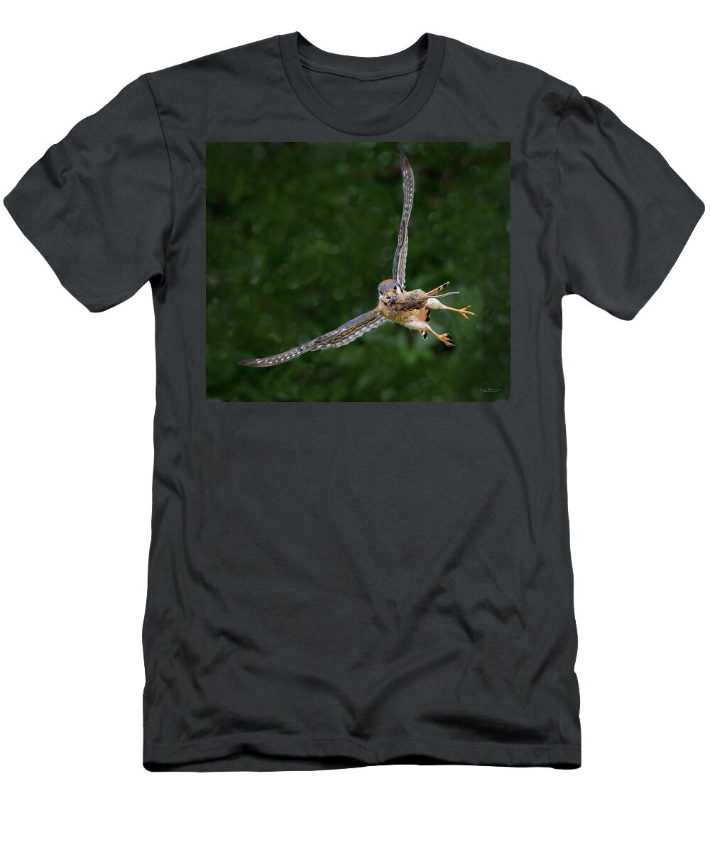 Kestrel With Prey T-Shirt featuring the photograph Kestrel with prey by Judi Dressler
