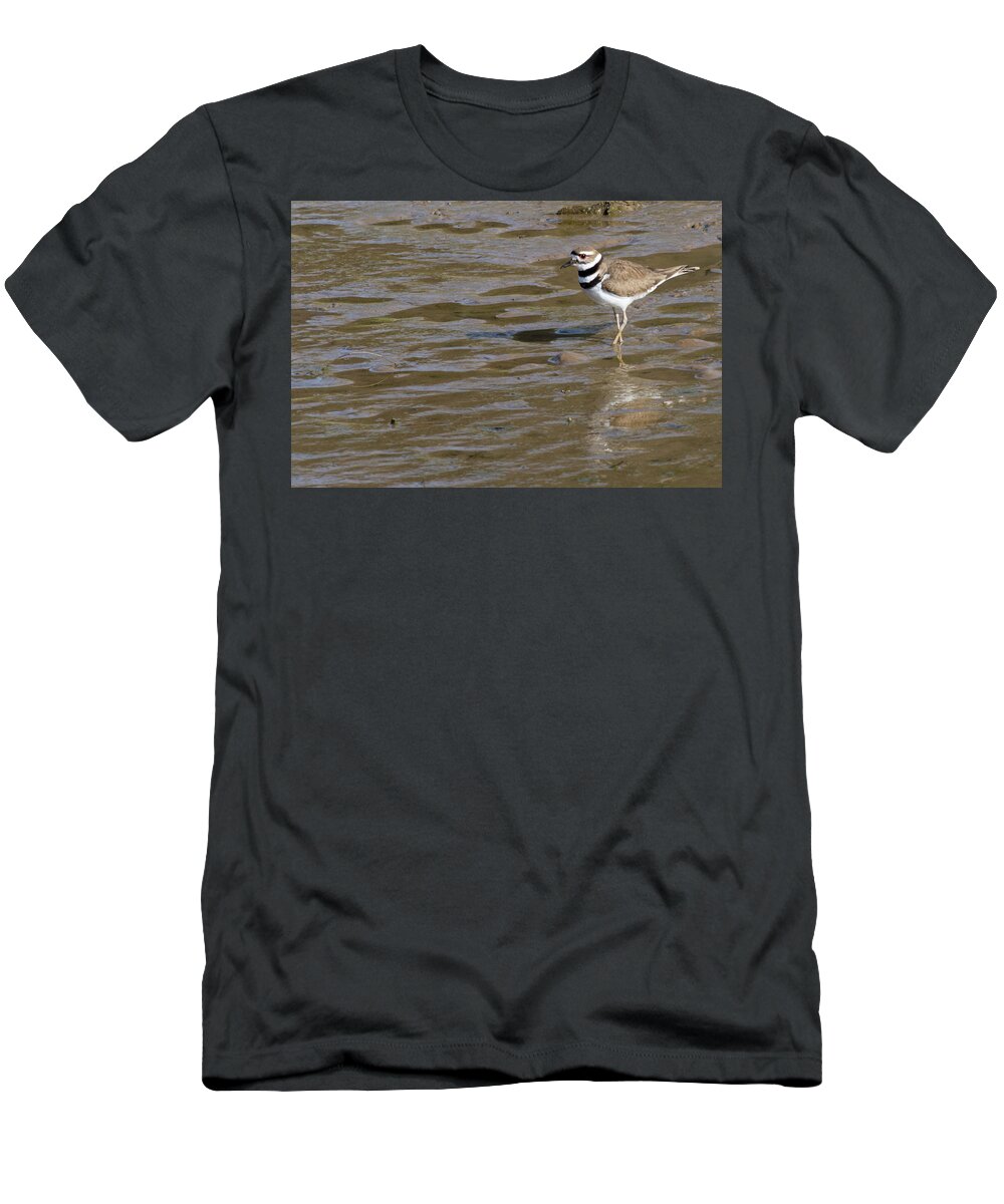 Wildlife T-Shirt featuring the photograph Killdeer Hunting by John Benedict