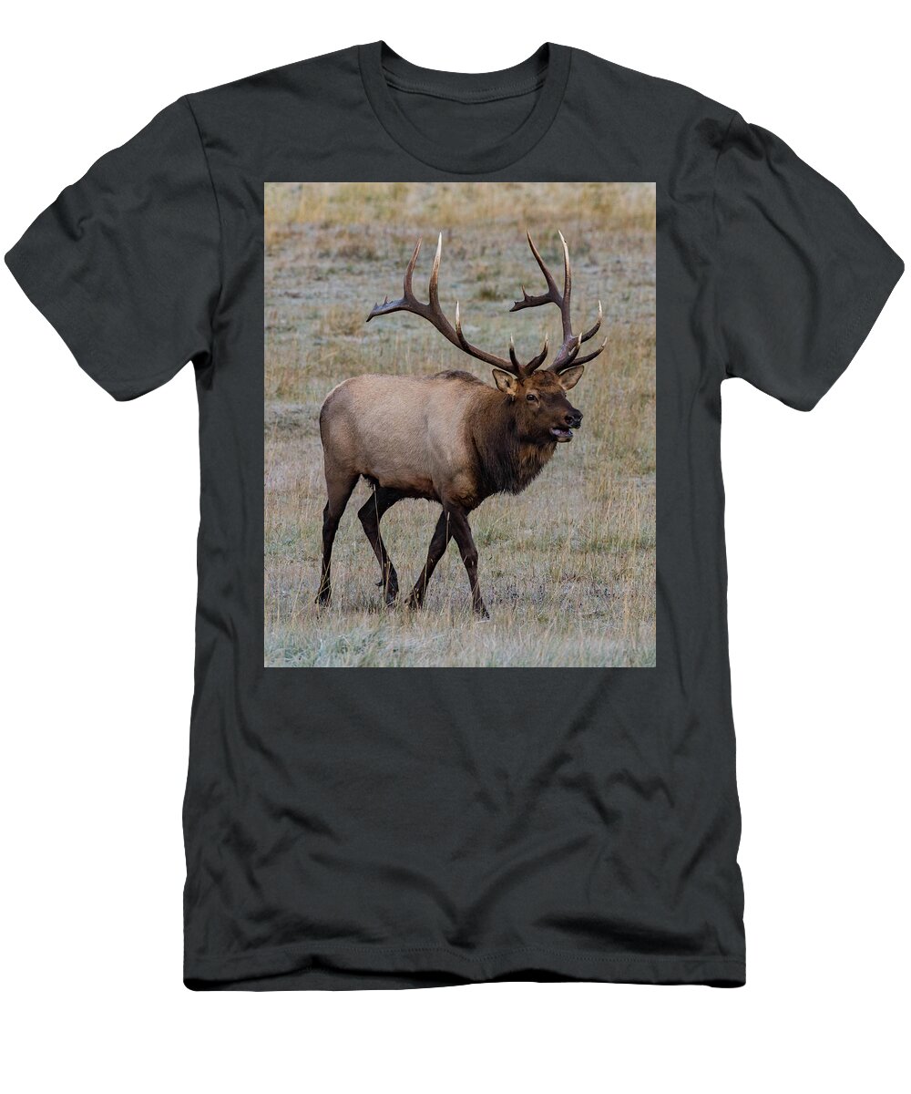 Colorado T-Shirt featuring the photograph King of Colorado by Jody Partin