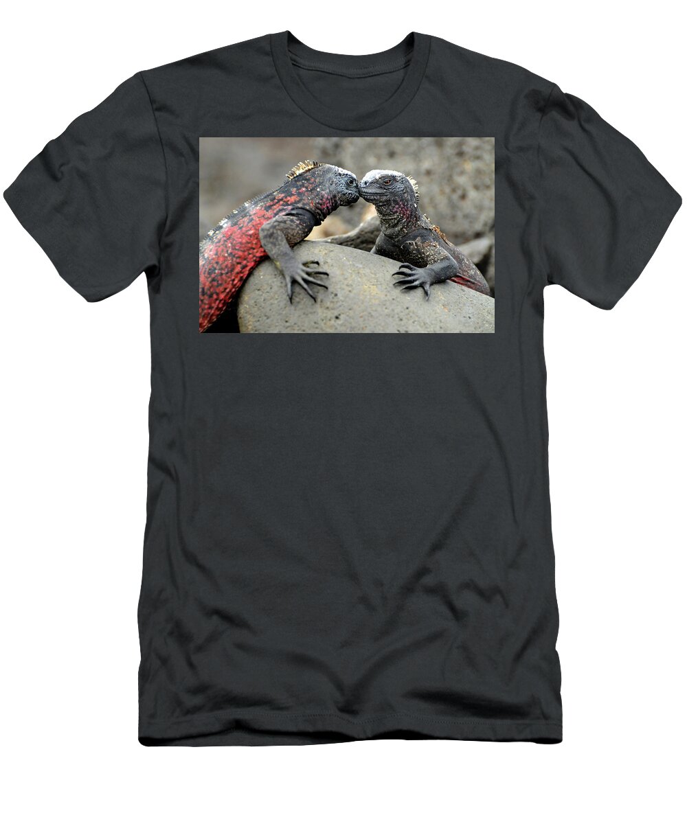 Iguana T-Shirt featuring the photograph Kissing Iguanas by Ted Keller