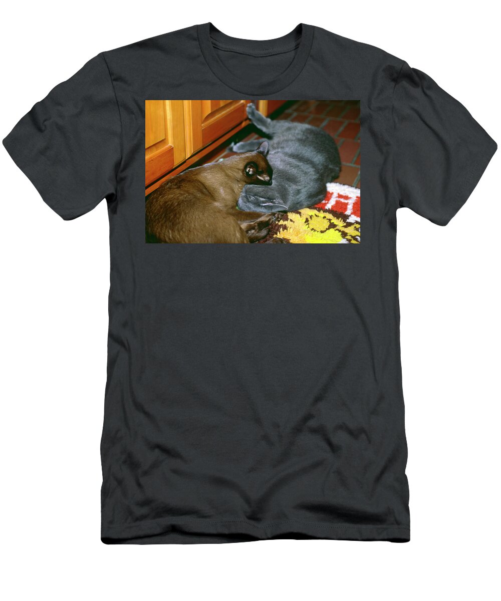 2 Cats Snuggling T-Shirt featuring the photograph Kitties Snuggling by Sally Weigand