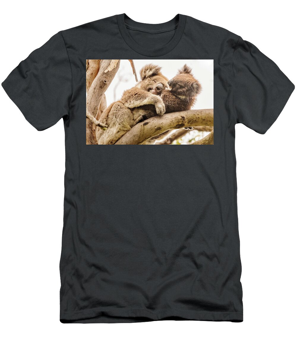 Koala T-Shirt featuring the photograph Koala 5 by Werner Padarin