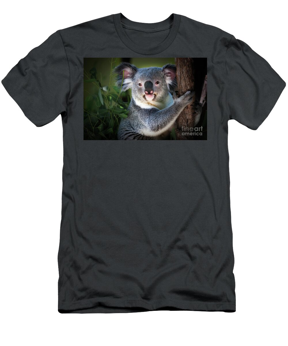Koala Bear T-Shirt featuring the photograph Koala by Doug Sturgess