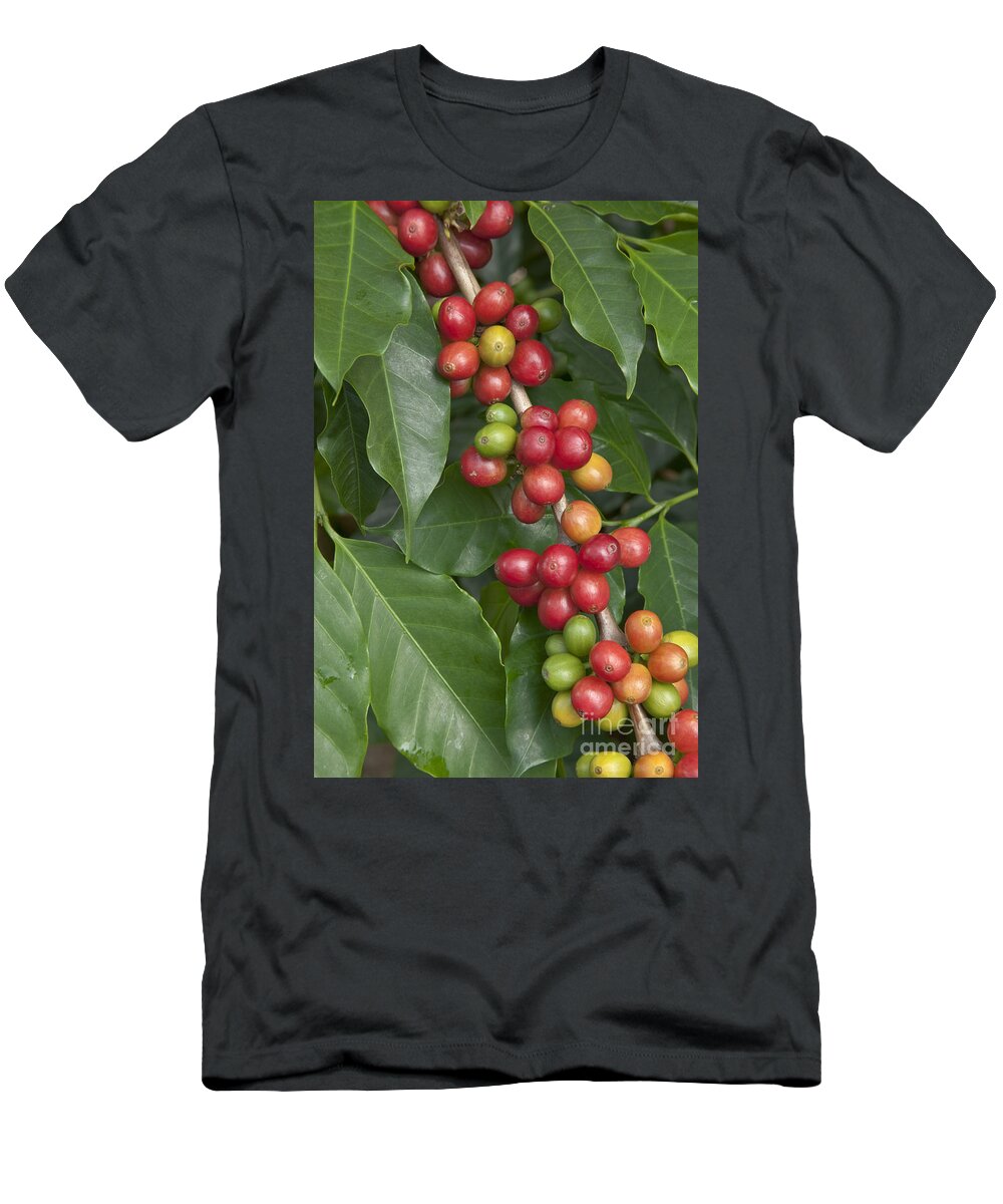 Coffee T-Shirt featuring the photograph Kona Coffee Berries by Inga Spence