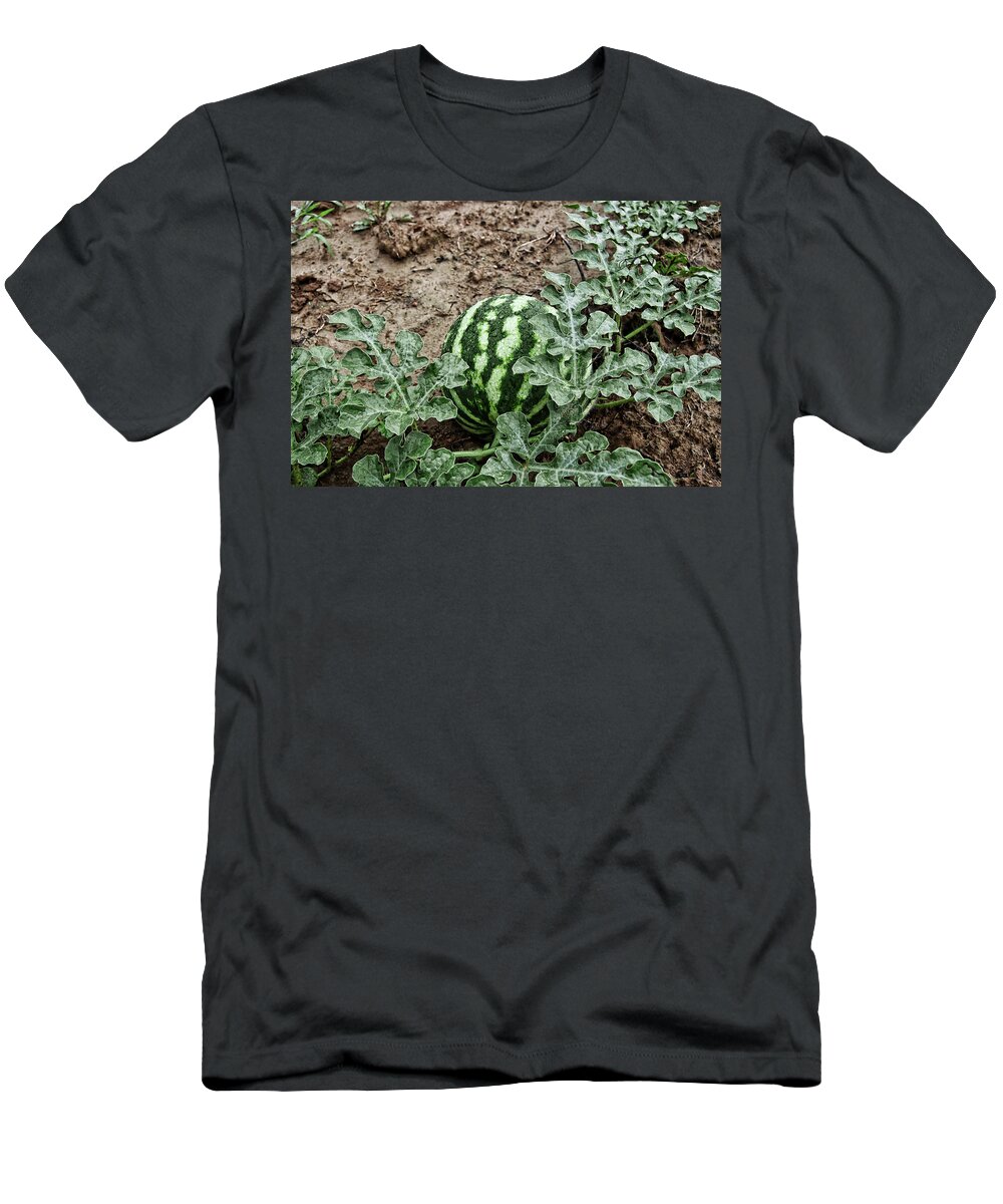 Watermelon T-Shirt featuring the photograph KY Watermelon by Amber Flowers