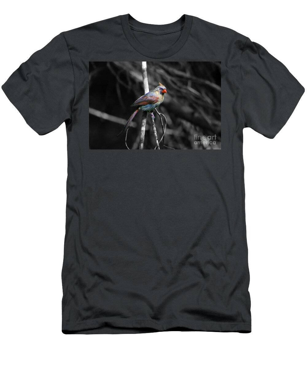 Bird T-Shirt featuring the photograph Lady In Waiting by Barbara S Nickerson
