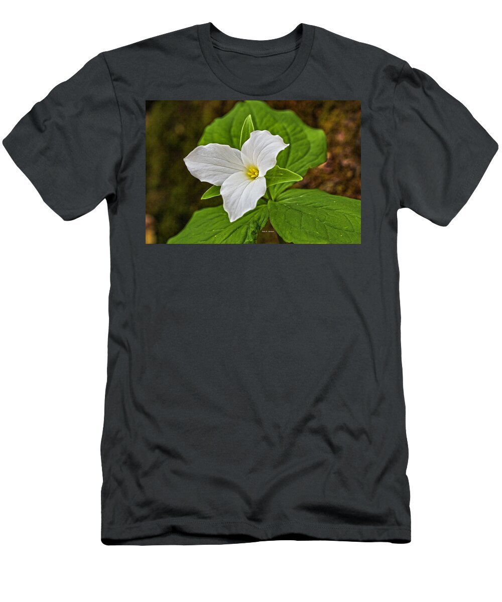 Trillium T-Shirt featuring the photograph Lady in White by Dale R Carlson