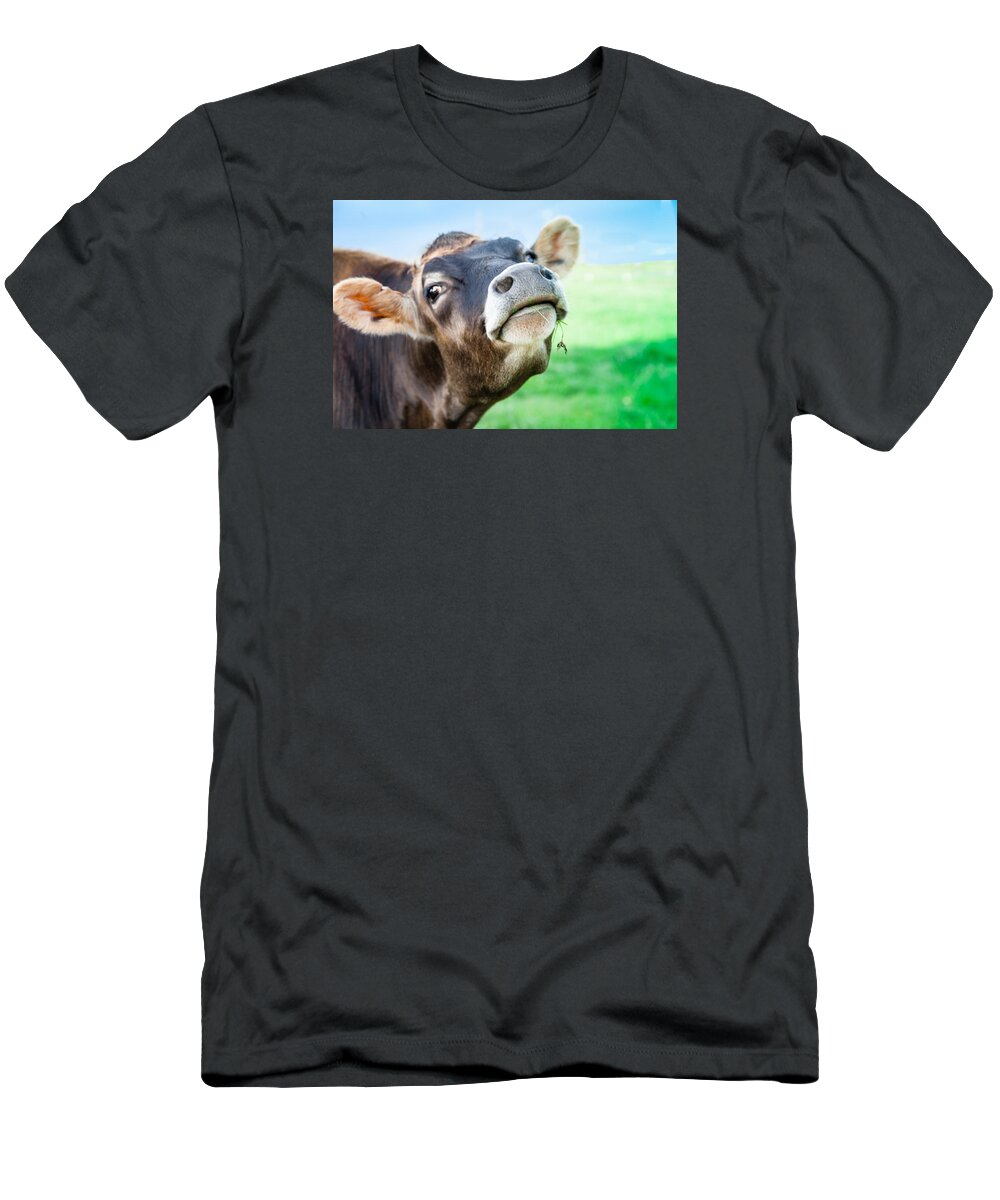 Bellingham T-Shirt featuring the photograph Lady by Judy Wright Lott