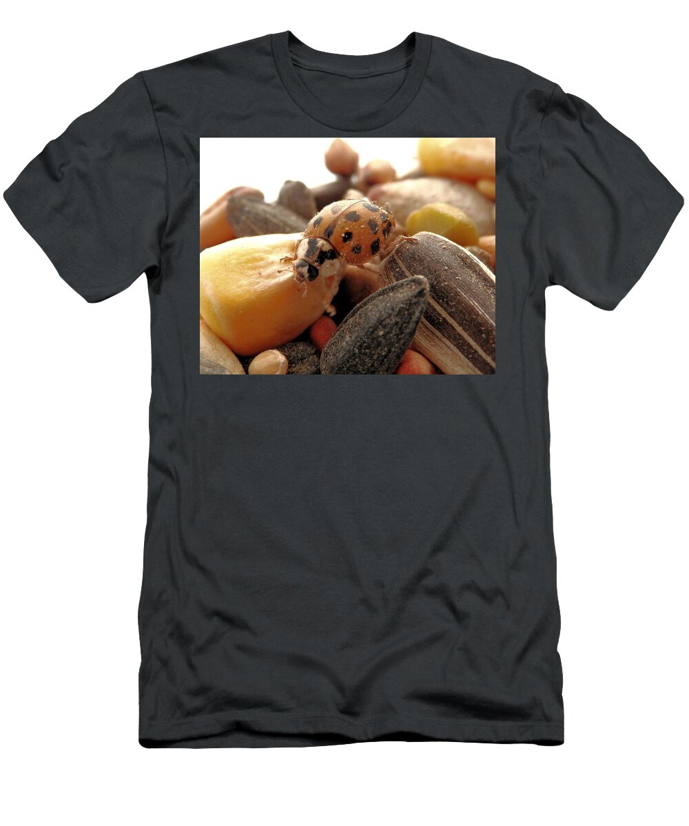 In The Squirrel Food T-Shirt featuring the photograph Ladybug On The Run by Belinda Lee