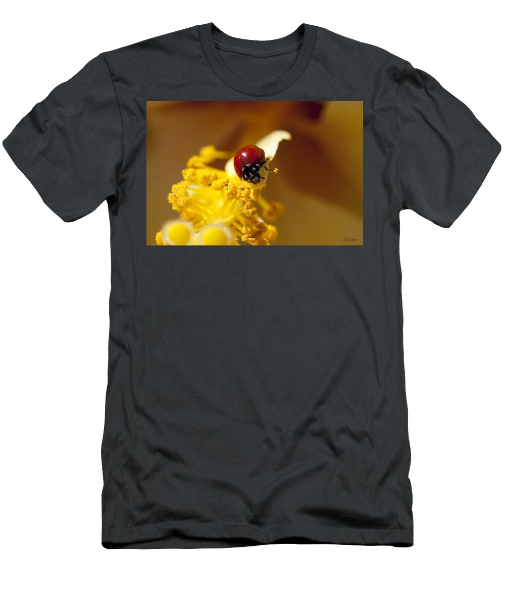 Ladybug T-Shirt featuring the photograph Ladybug Picking Flowers by Diana Haronis