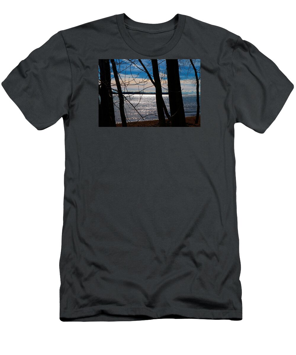 Sandy T-Shirt featuring the photograph Lake Romance by Valentino Visentini