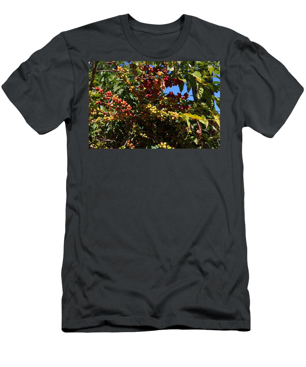 Coffee T-Shirt featuring the photograph Lake Tana Coffee Beans by Aidan Moran