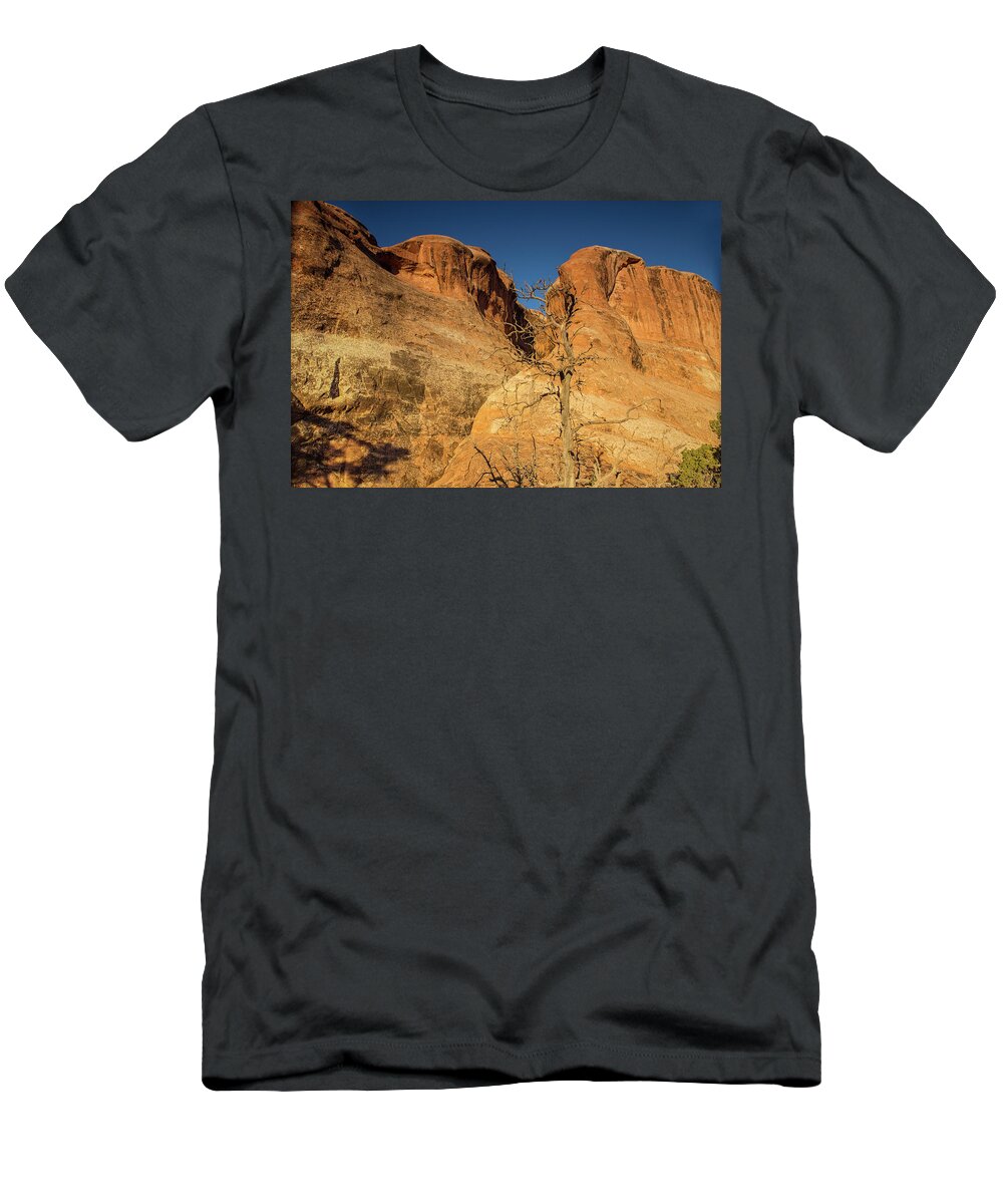 Arches National Park T-Shirt featuring the photograph Landscape arch trail sunrise by Kunal Mehra