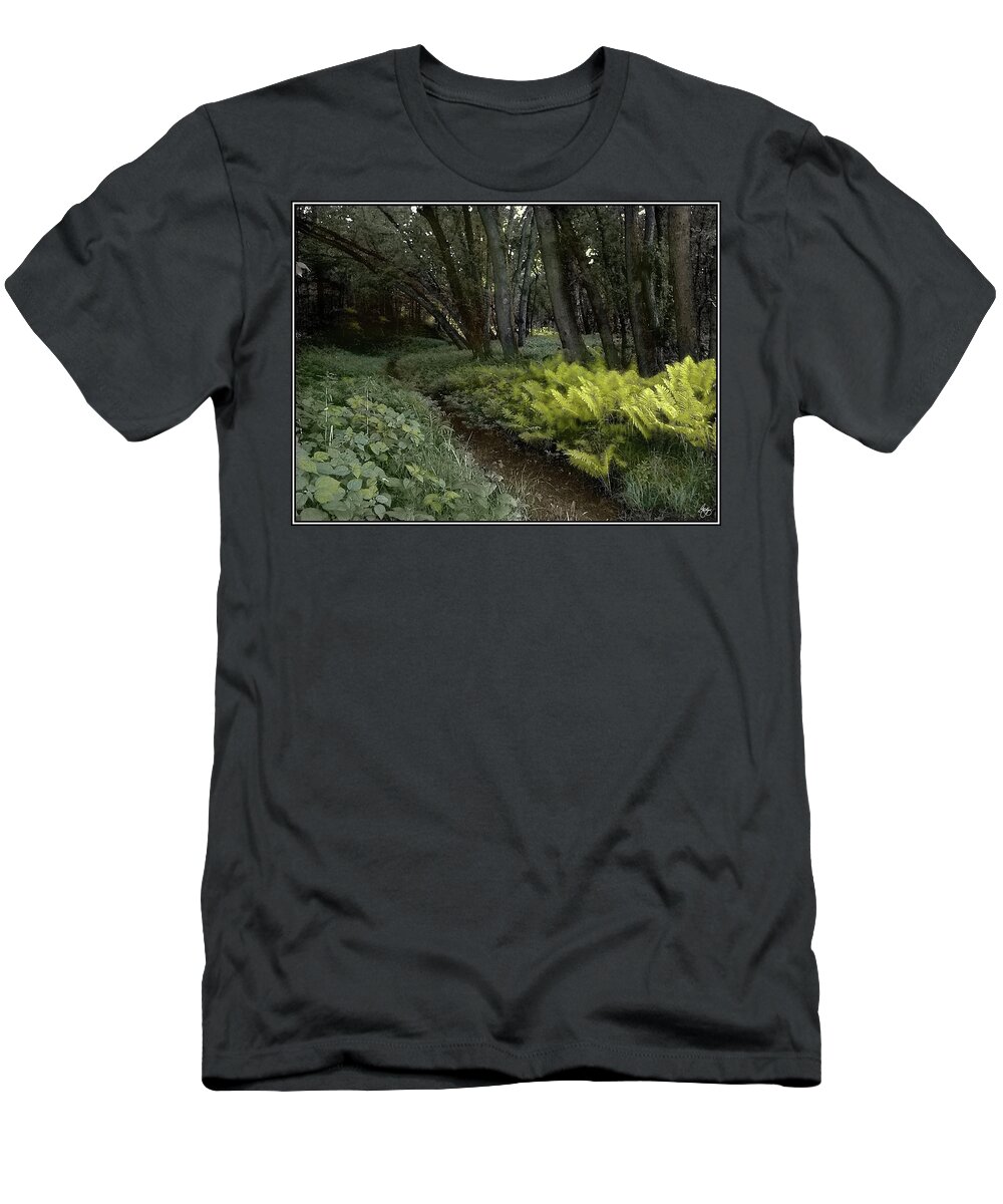 Ferns T-Shirt featuring the photograph Langdon Fernpath by Wayne King