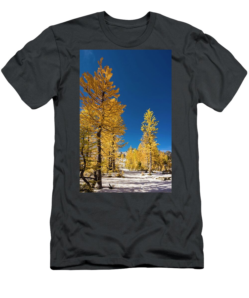 Evergreen T-Shirt featuring the photograph Larches 4 by Pelo Blanco Photo