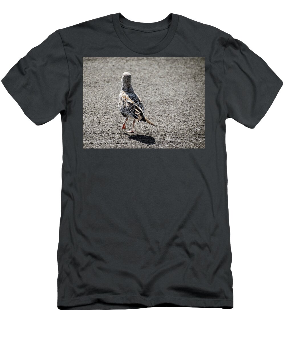 Seagull T-Shirt featuring the photograph Later, Ciao - by Julie Weber
