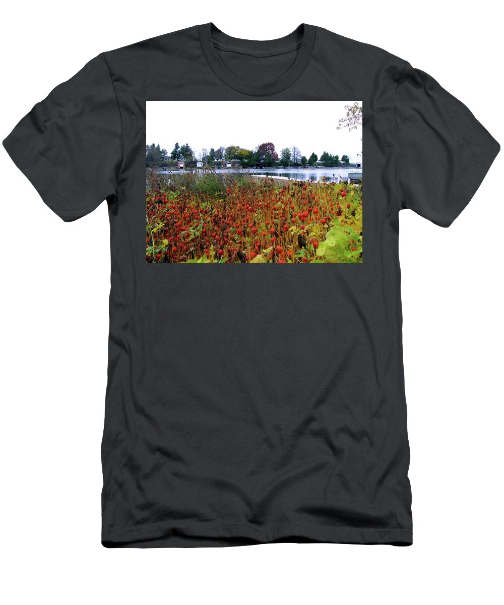 Fall T-Shirt featuring the photograph Lanterns on Rose Bay by Dennis McCarthy