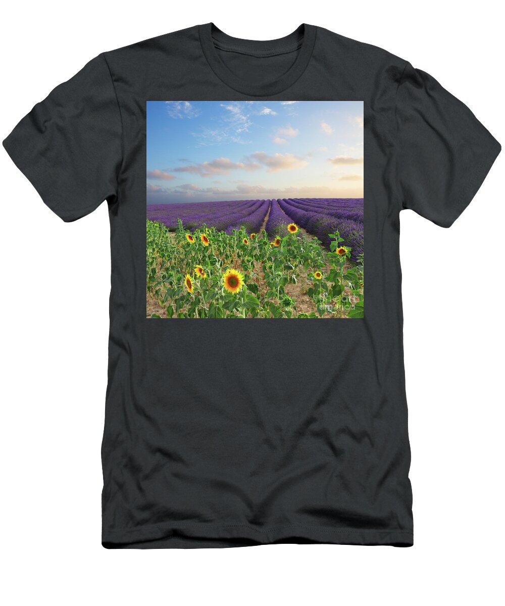 Lavender T-Shirt featuring the photograph Lavender and Sunflower Flowers Field by Anastasy Yarmolovich