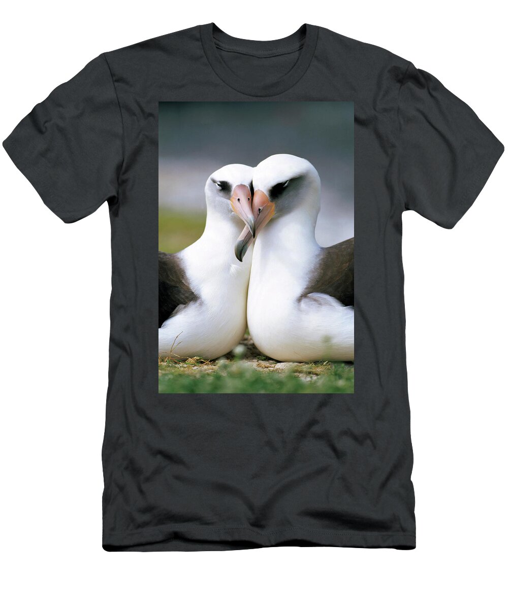 Mp T-Shirt featuring the photograph Laysan Albatross Phoebastria by Tui De Roy