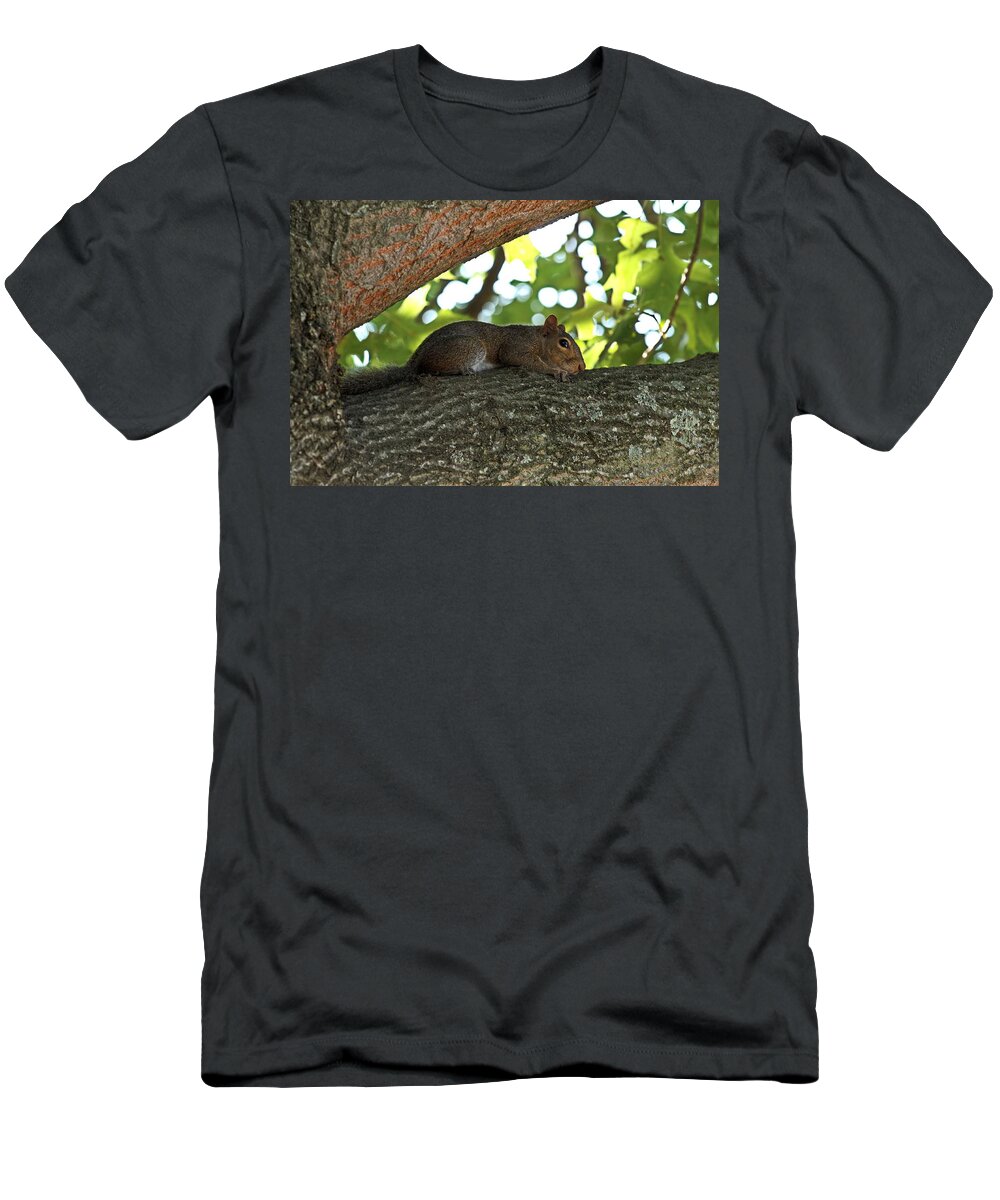Squirrel T-Shirt featuring the photograph Lazy Squirrel by Shoeless Wonder
