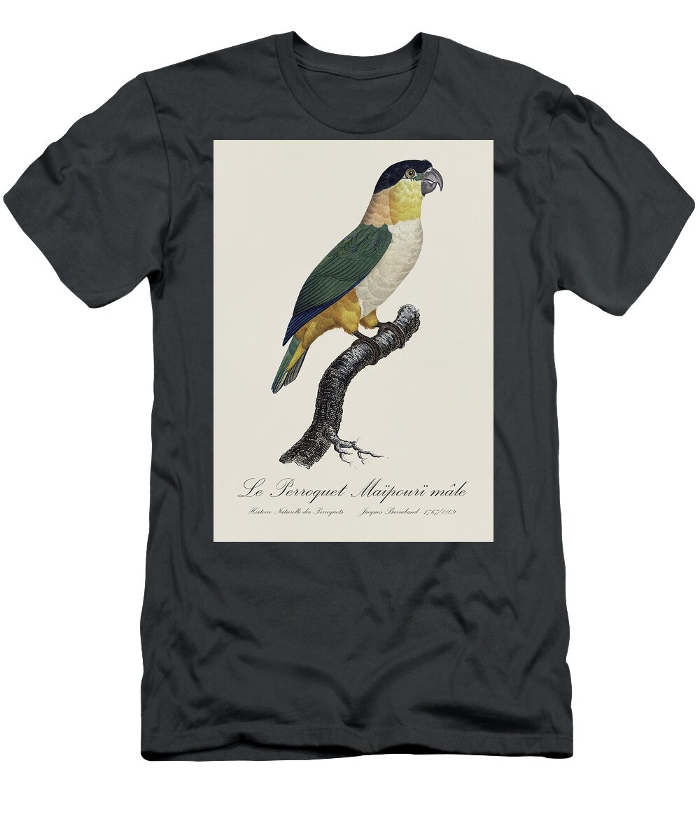 Perroquet T-Shirt featuring the painting Le Perroquet Maipouri male / Black-headed parrot - Restored 19th C. parrot illustration by Barraband by SP JE Art