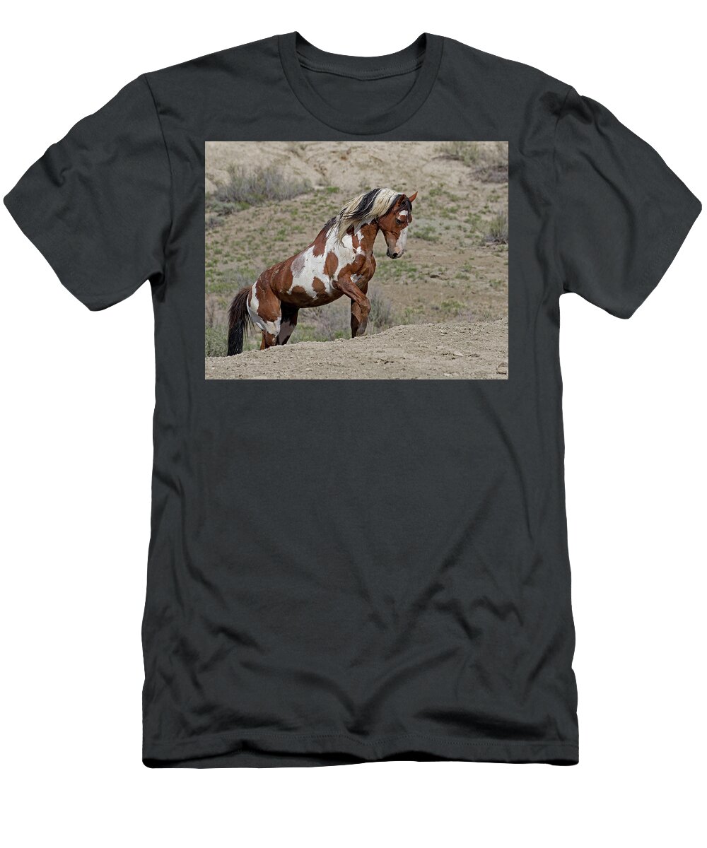 Mustangs T-Shirt featuring the photograph Leading to Water by Mindy Musick King