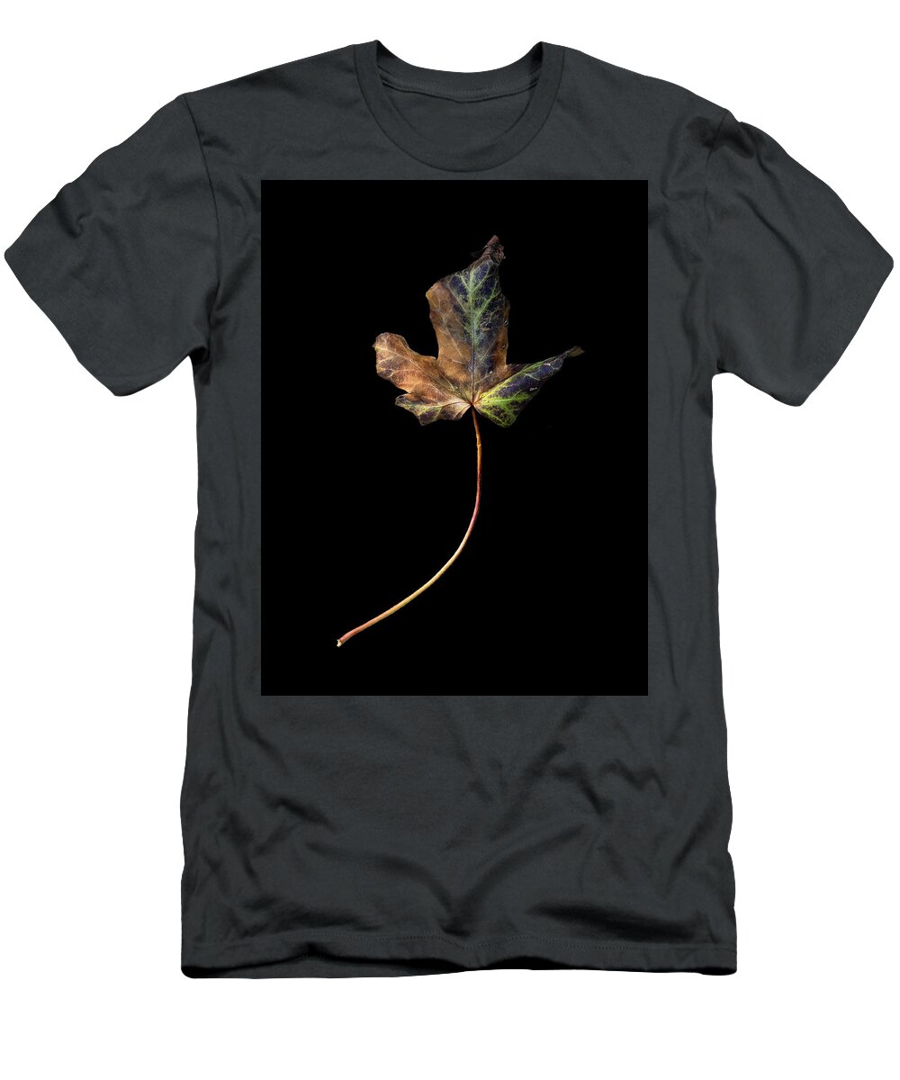 Leaf T-Shirt featuring the photograph Leaf 1 by David J Bookbinder