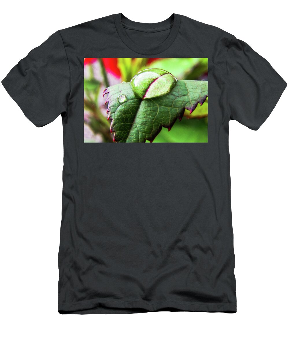 Leaves T-Shirt featuring the photograph Leaf by Cesar Vieira