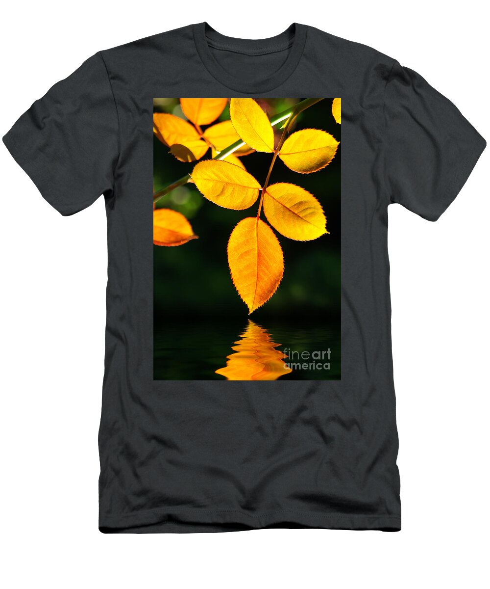 Agriculture T-Shirt featuring the photograph Leafs over water by Carlos Caetano