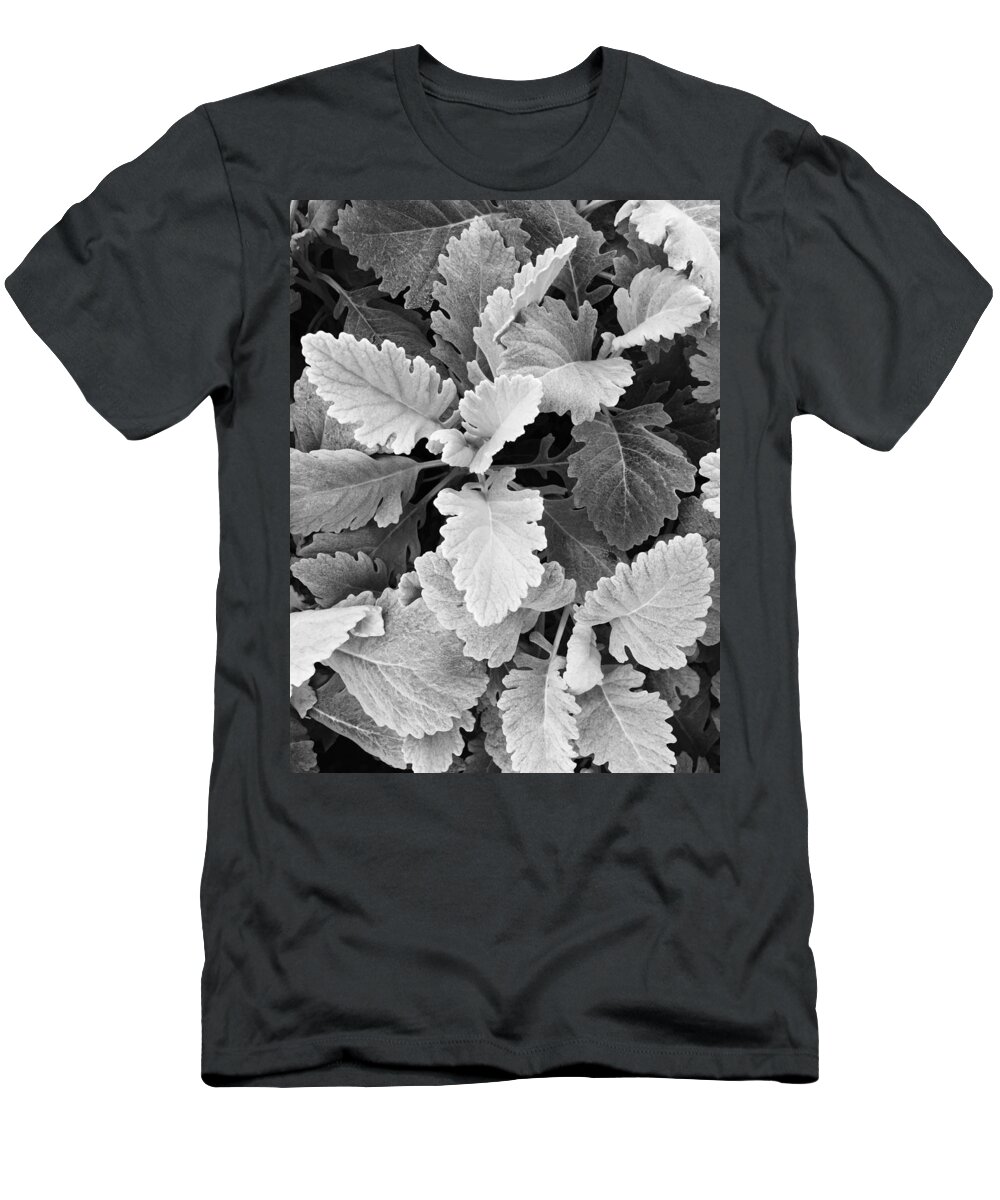 Contrast T-Shirt featuring the photograph Leafy Contrast B W by David T Wilkinson