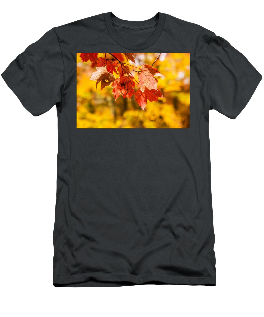 Autumns Yellow T-Shirt featuring the photograph Leaves Of Autumn by Karol Livote