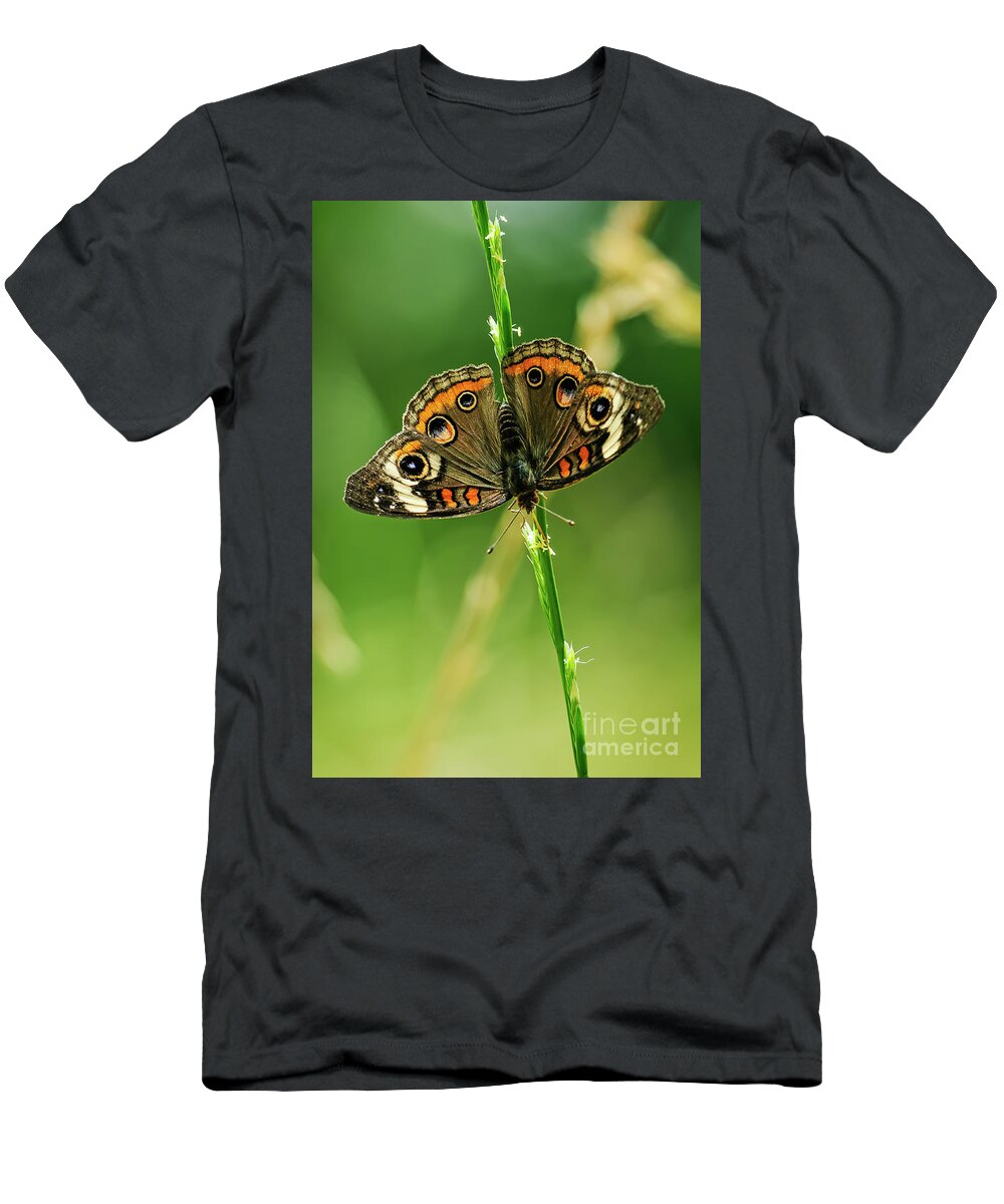 Art T-Shirt featuring the photograph Lepidoptera by Charles Dobbs