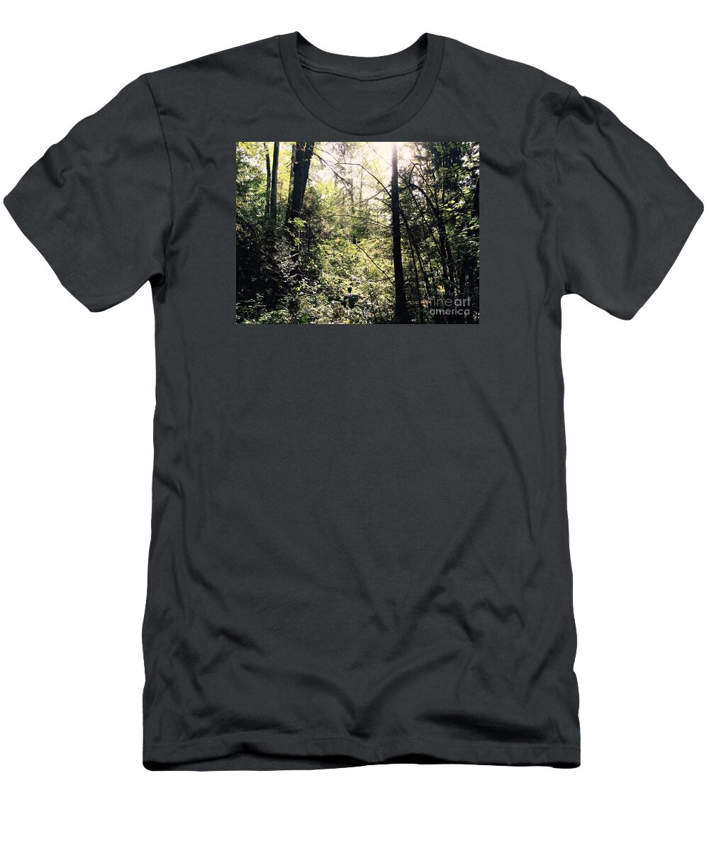 Sunlight T-Shirt featuring the photograph Let light in by LeLa Becker