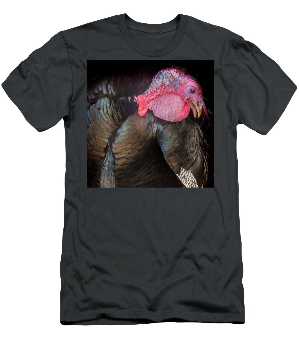 Thanksgiving Turkeys T-Shirt featuring the photograph Let Us Give Thanks by Karen Wiles