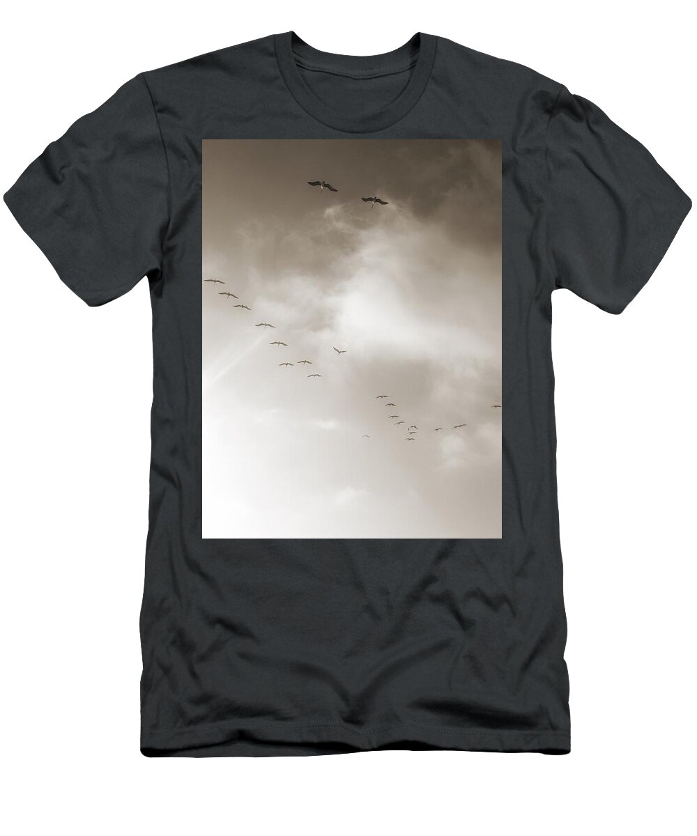 Birds T-Shirt featuring the photograph Light Just Ahead by Leah McPhail