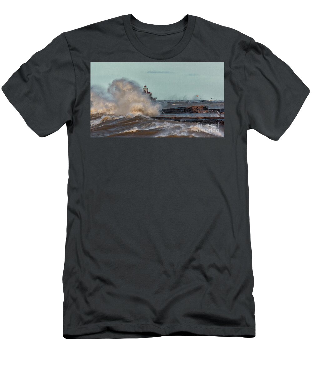 Lake T-Shirt featuring the photograph Like a Lion by Rod Best
