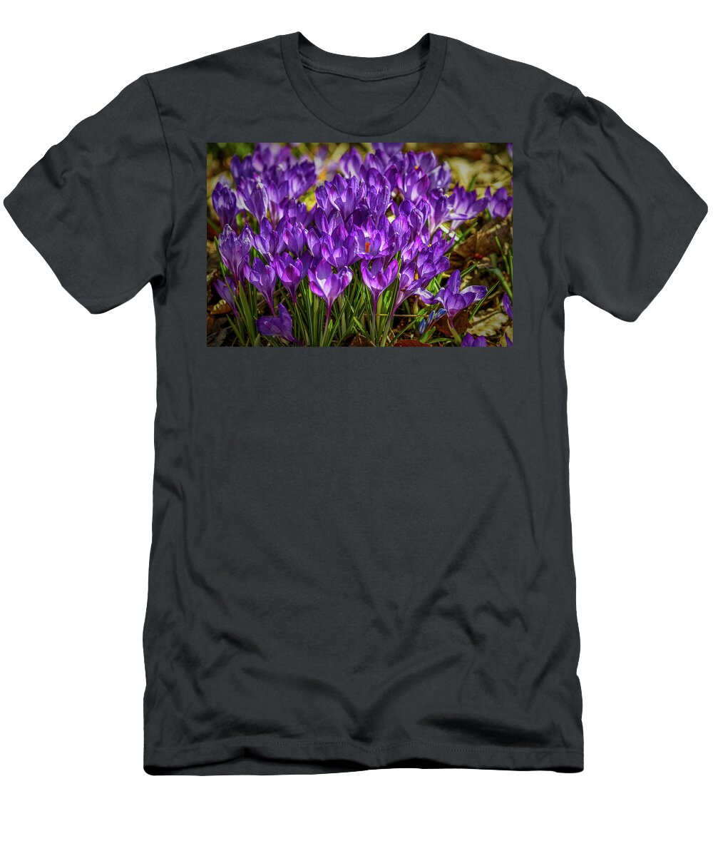 Crocus T-Shirt featuring the photograph Lilac crocus #g2 by Leif Sohlman