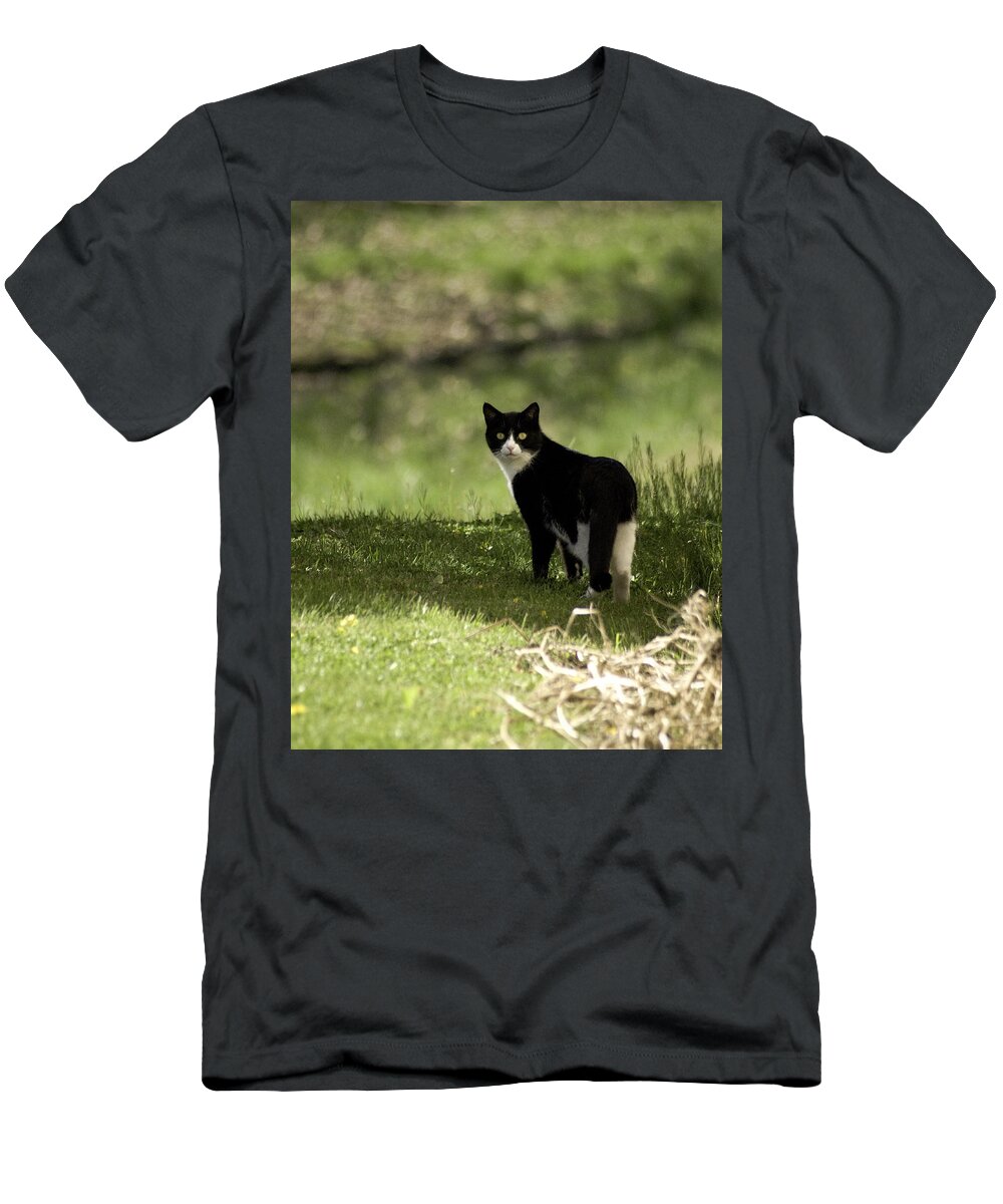 Cat T-Shirt featuring the photograph Lilly by Trish Tritz