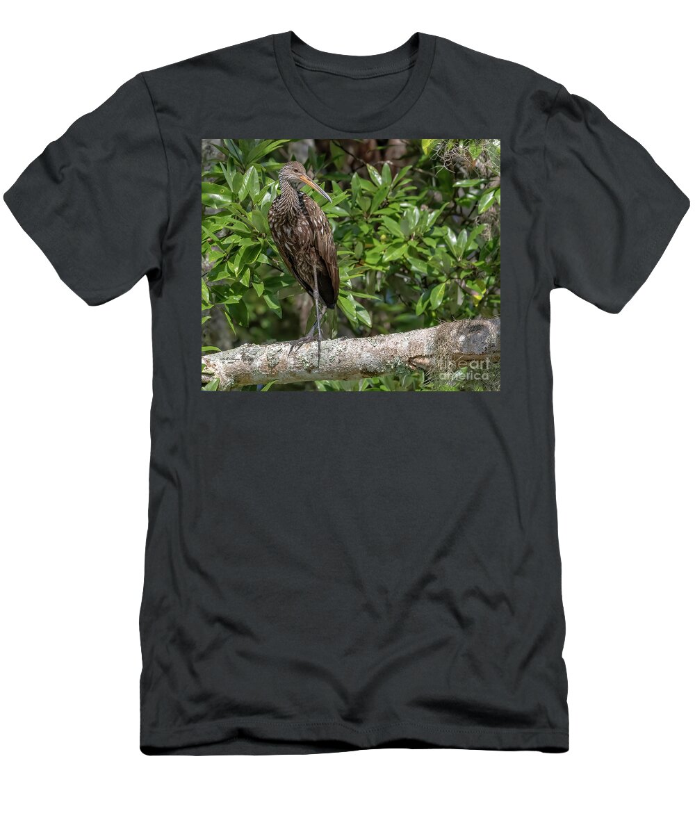 Birds T-Shirt featuring the photograph Limpkin - Aramus Guarauna by DB Hayes