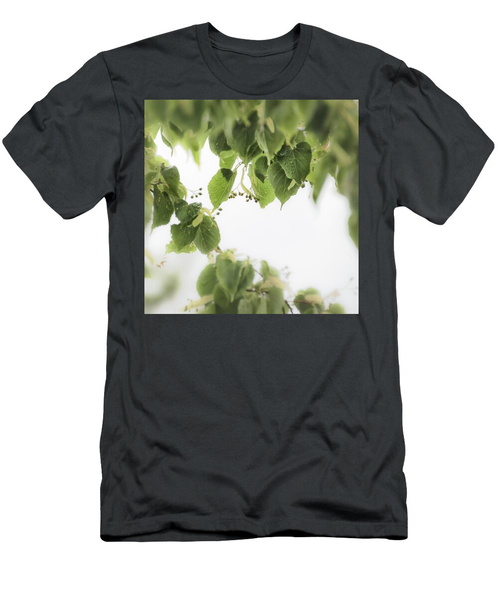 Linden Leaves T-Shirt featuring the photograph Linden in the Rain 2 - by Julie Weber