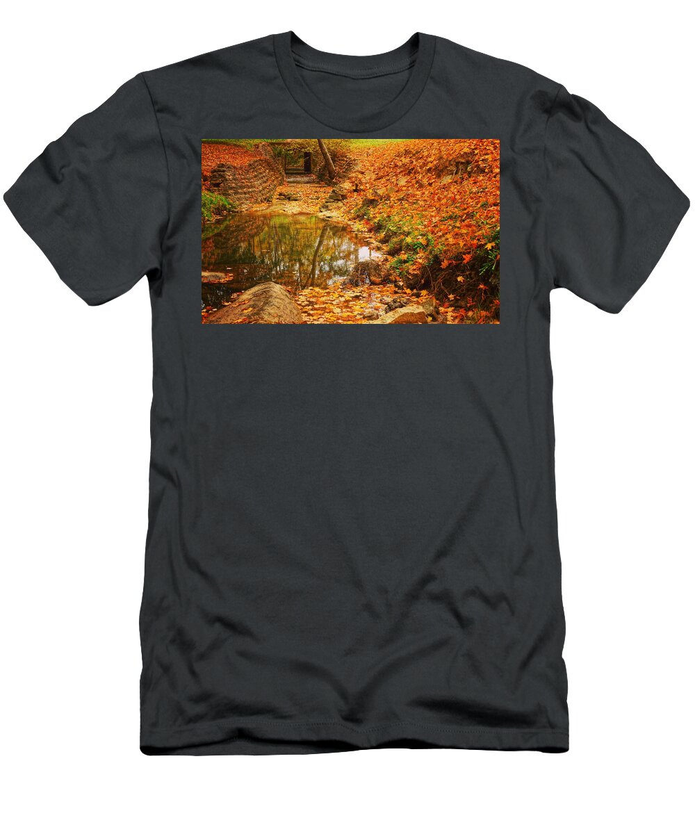  T-Shirt featuring the photograph Lineberger Park 6 by Rodney Lee Williams