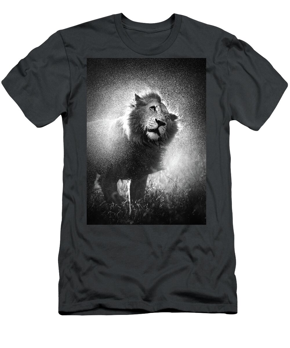 Lion T-Shirt featuring the photograph Lion shaking off water by Johan Swanepoel